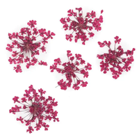 Fuchsia Getrocknete Blume Nagelschmuck