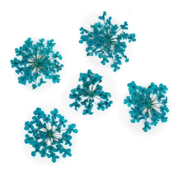 Nail Glitter - getrocknete Blumen - türkis 
