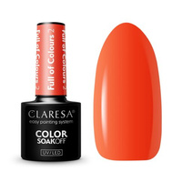 Claresa Voll von Farben 2 5g