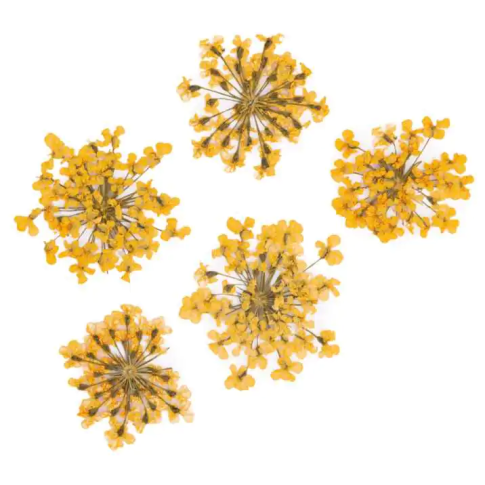 Nageldekoration Getrocknete Blumen - Orange