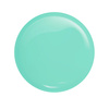 Victoria Vynn Gel Polish Color 454 Fresh Minty Hybrid Lack 8 ml