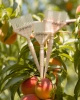 Framar Peach Please – Set mit 3 breiten Big Daddy-Pinseln zum Färben