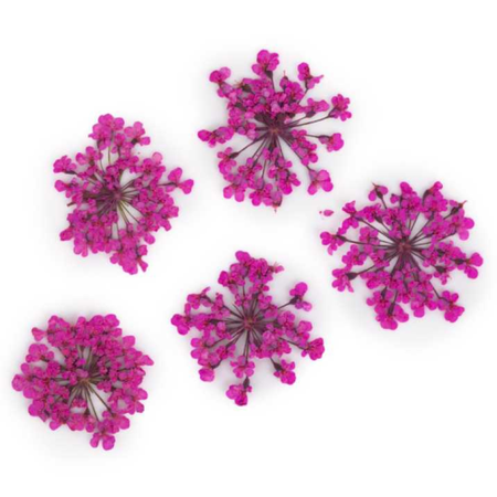 Nageldekoration Getrocknete Blumen - Rosa 