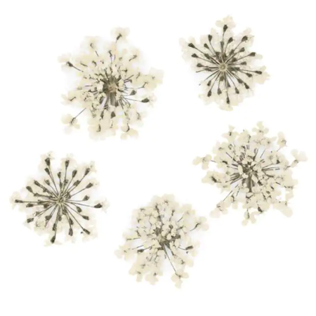 Nageldekorationen getrocknete Blumen - Weiß 