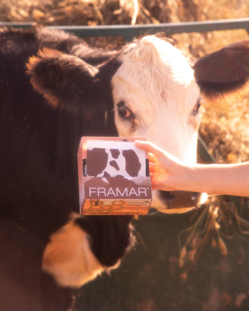 Framar Yeehaw Geriffelte Friseurfolie in Bögen, 500 Stück