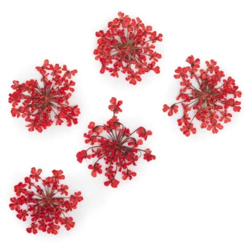 Nageldekoration getrocknete Blumen - Rot