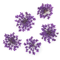 Nailart Trockenblumen - violett