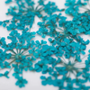 Nail Glitter - getrocknete Blumen - türkis