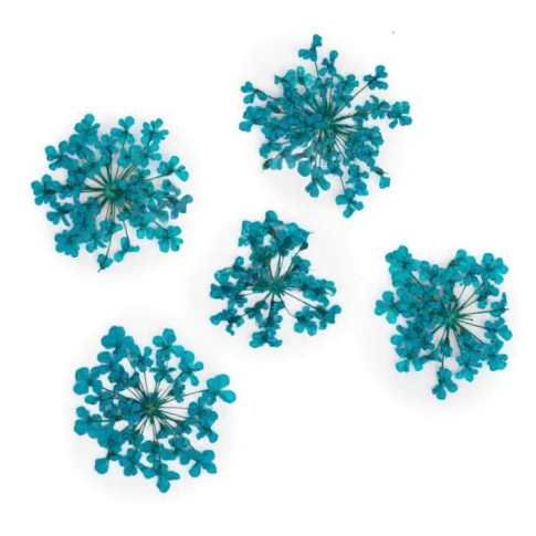 Nail Glitter - getrocknete Blumen - türkis