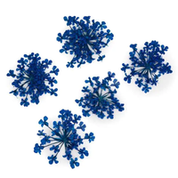 Nageldekoration Getrocknete Blumen - Blau