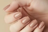 Victoria Vynn Gel Polish Color 449 Barista Hybrid-Lack 8 ml