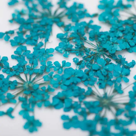 Nail Glitter - getrocknete Blumen - türkis